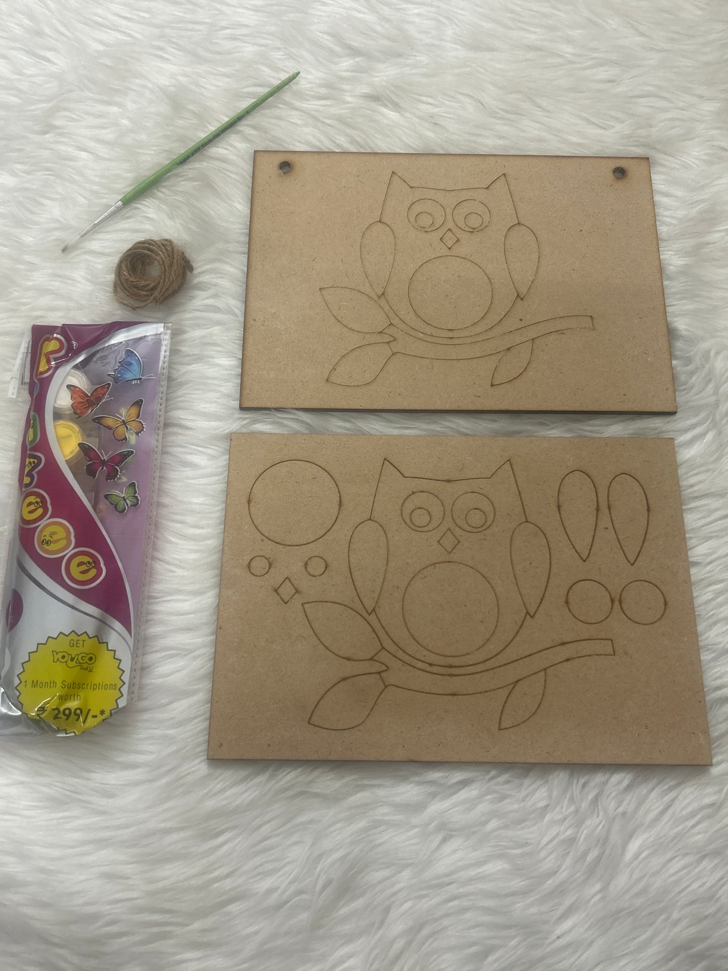 3D MDF Painting Kit Owl