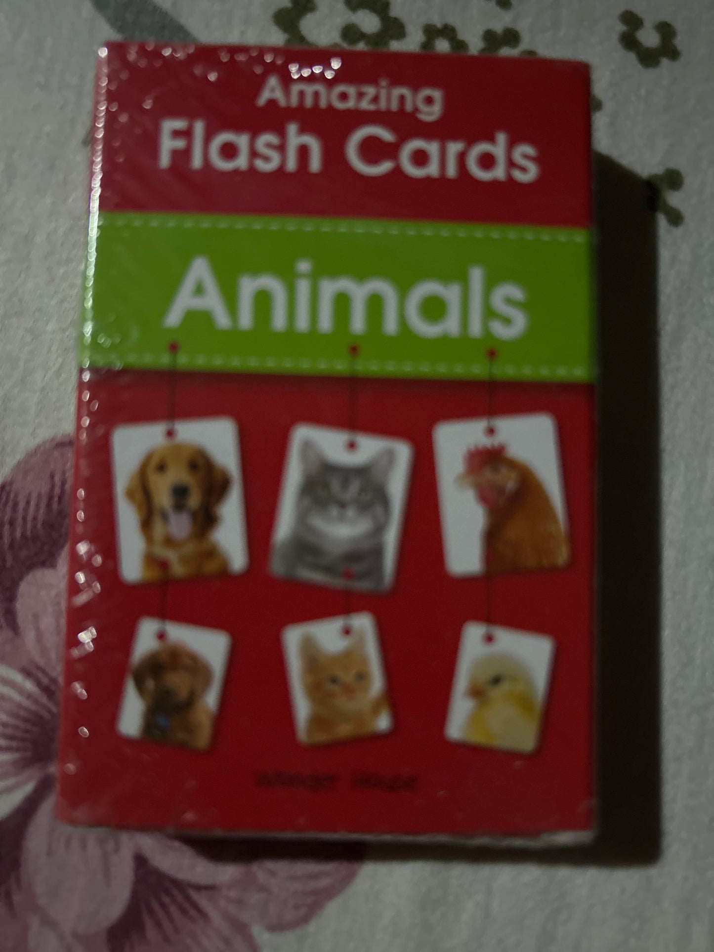 Wonder House FC Animals