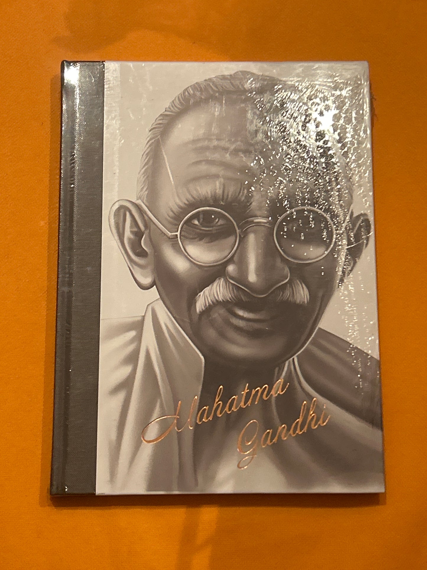 Gandhi Journal Diary