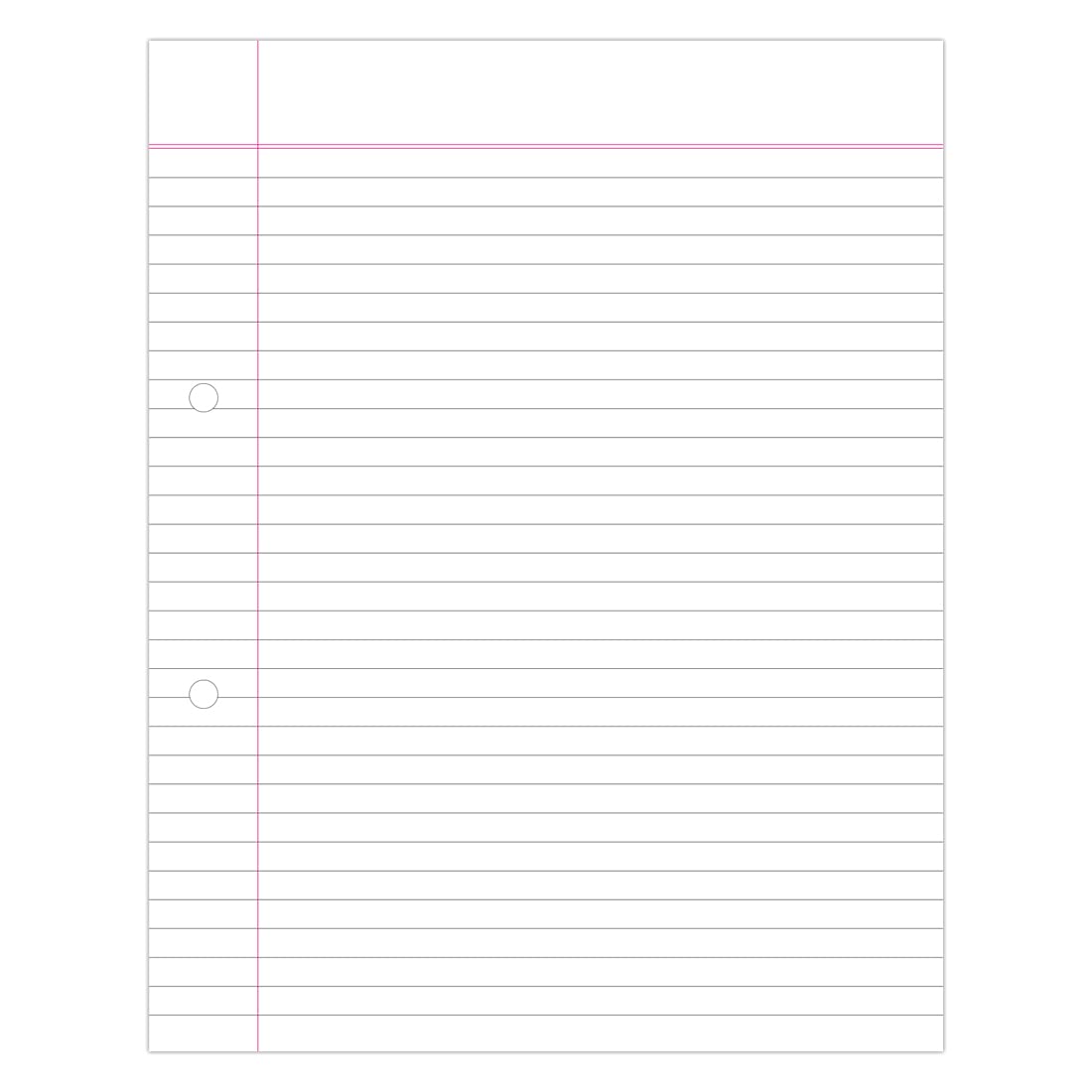 Classmate Project Paper