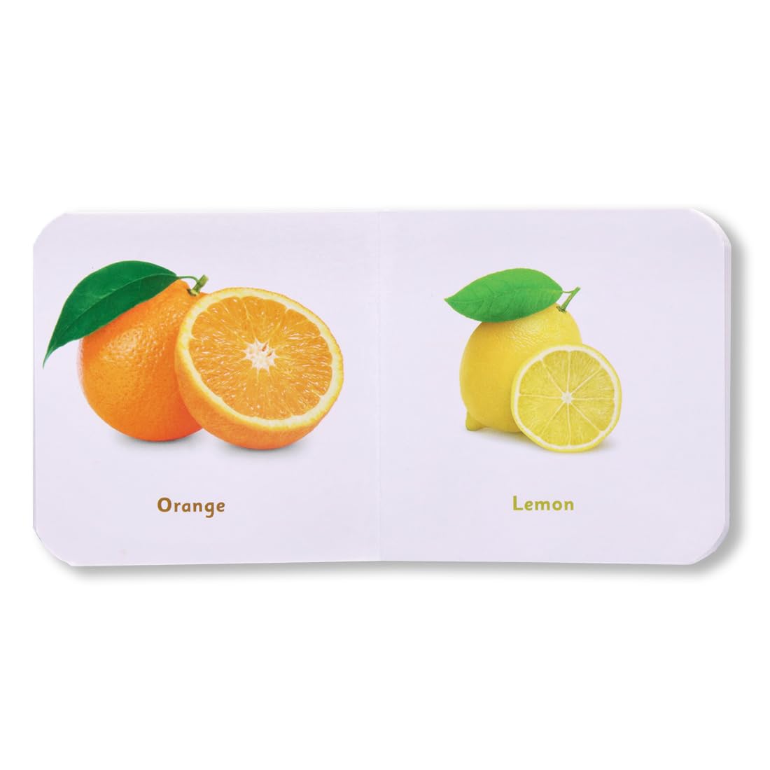 Navneet Tiny Board Book Fruits