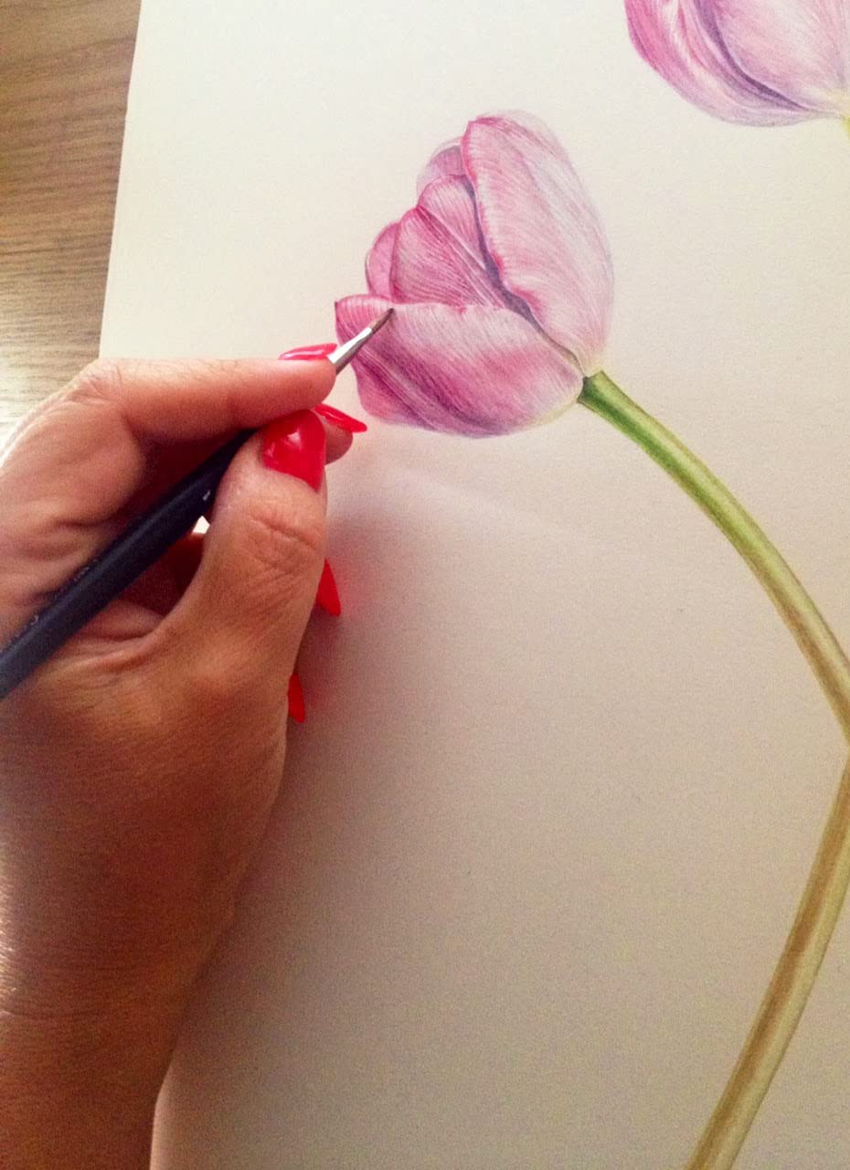 A4 Water Colour Paper 280 GSM Brustro (Single Pc)