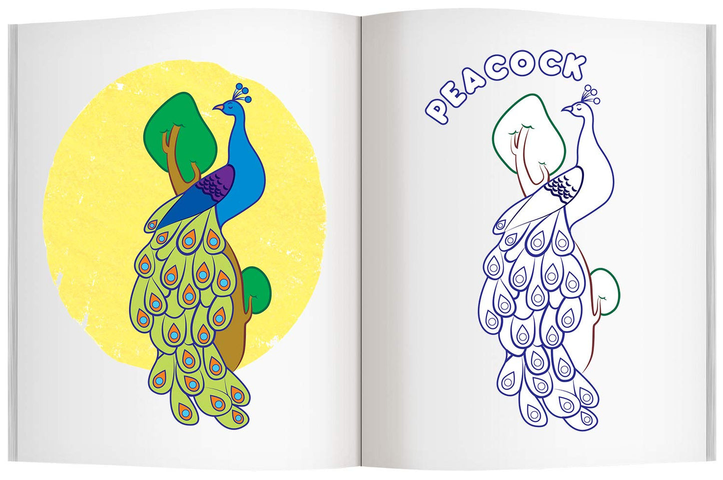 Navneet A Collection of Fun with Copy Colours 3