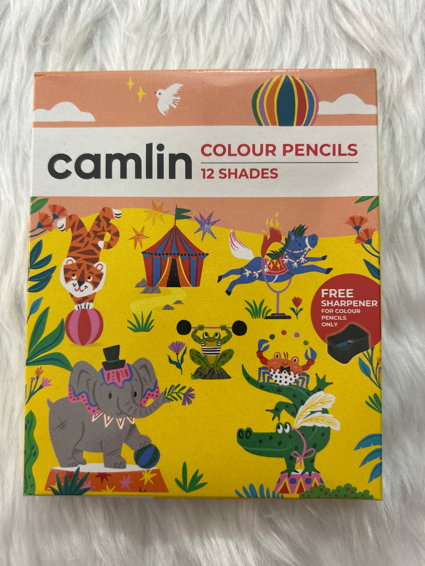 Camlin Colour Pencils Small 12