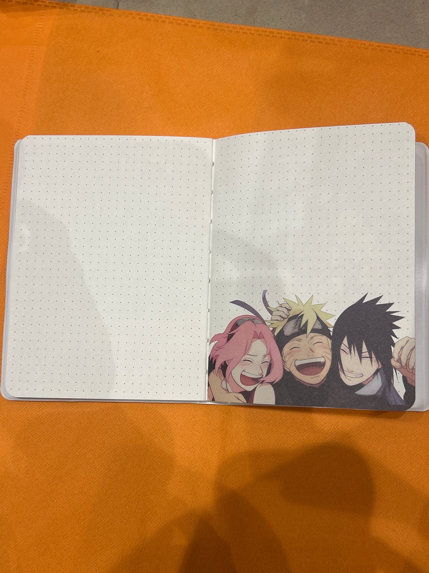 Naruto Diary