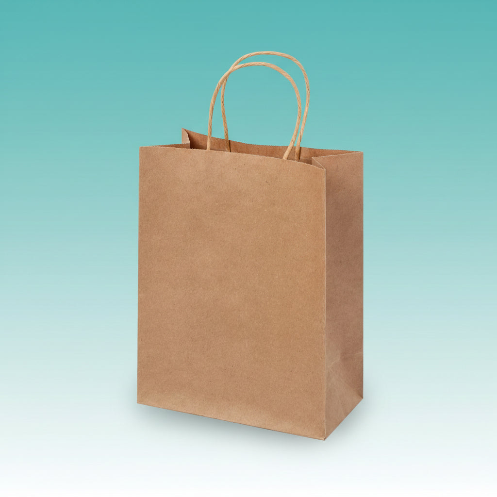 Brown Paper Bag 12x9 by Gifthubmart