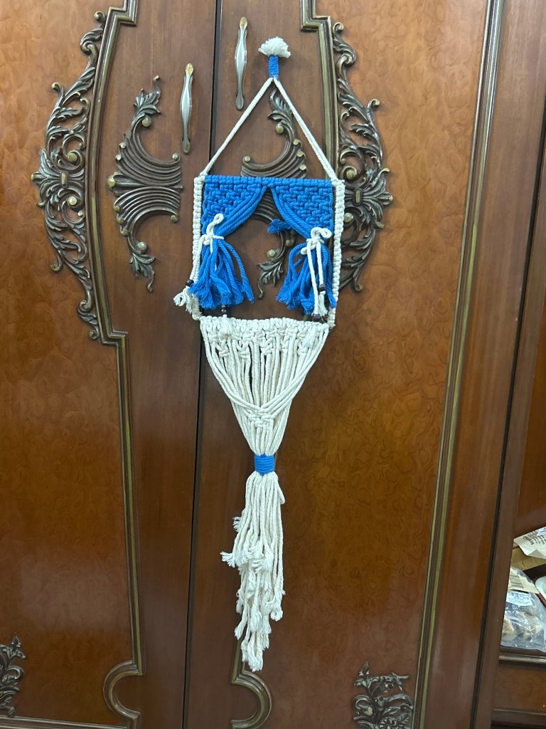 Macrame Plant Hanger