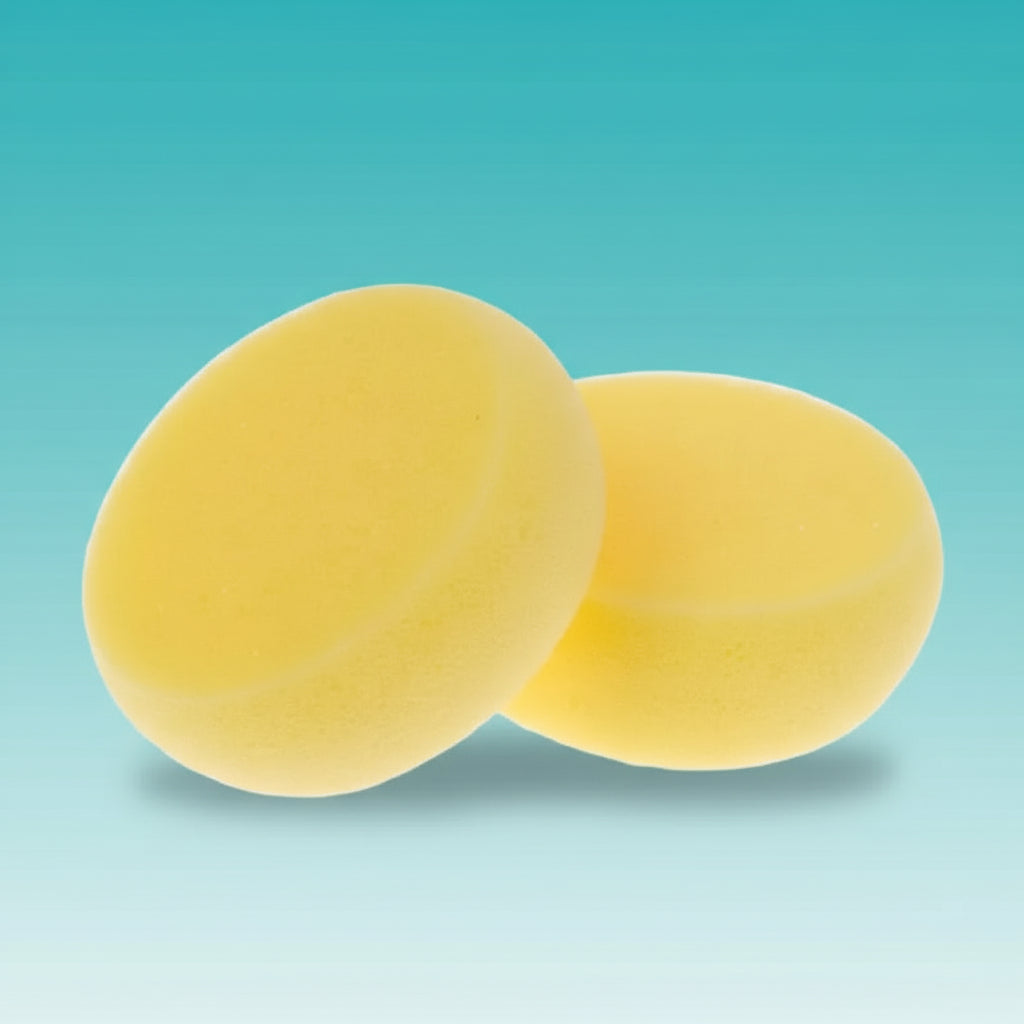 Round Sponge Set of 2 by Gifthubmart