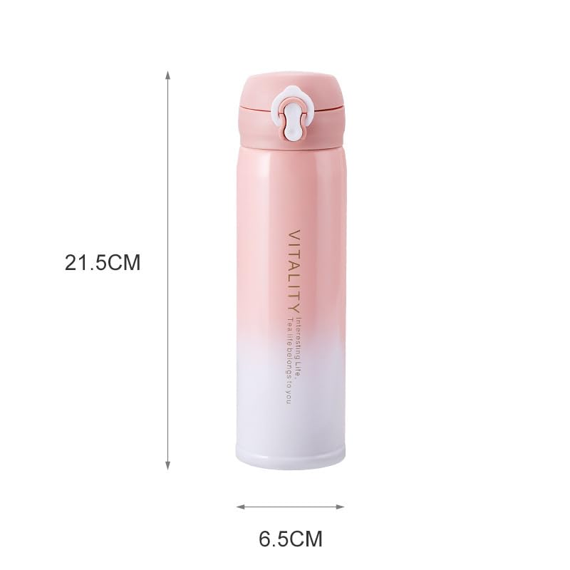 Vitality Insulated Stainless Steel Water Bottle 420ML