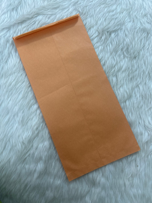 Brown Envelope 12”x6”