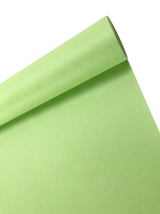 Chart Paper / Ivory Sheet - Thick (Light Green)