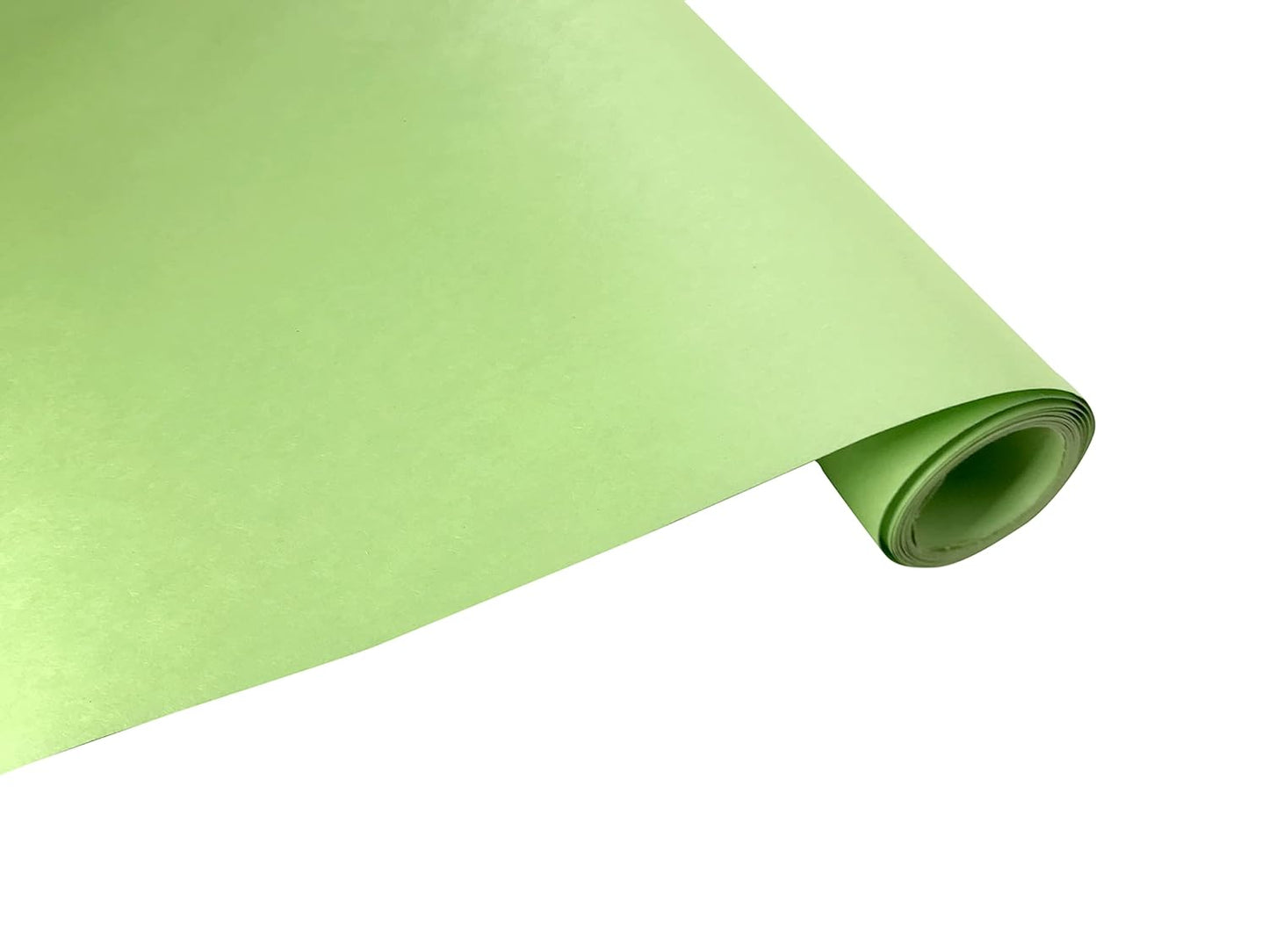 Chart Paper / Ivory Sheet - Thick (Light Green)