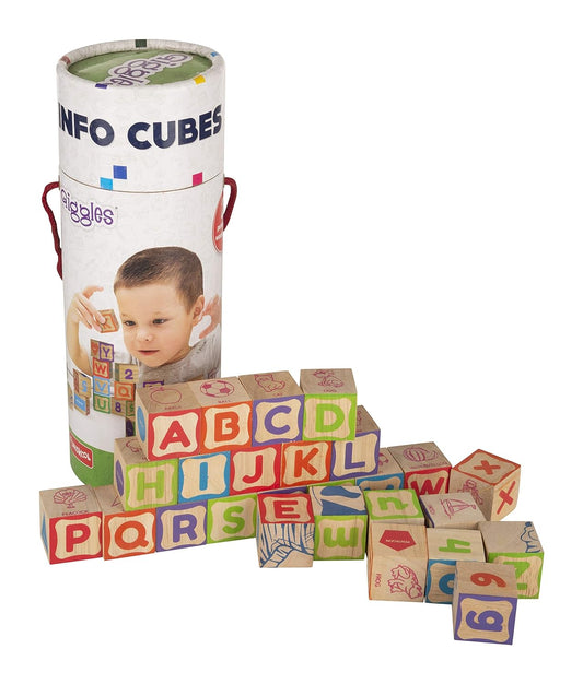 Info Cubes 26 Pieces Wooden Block Funskool Giggles