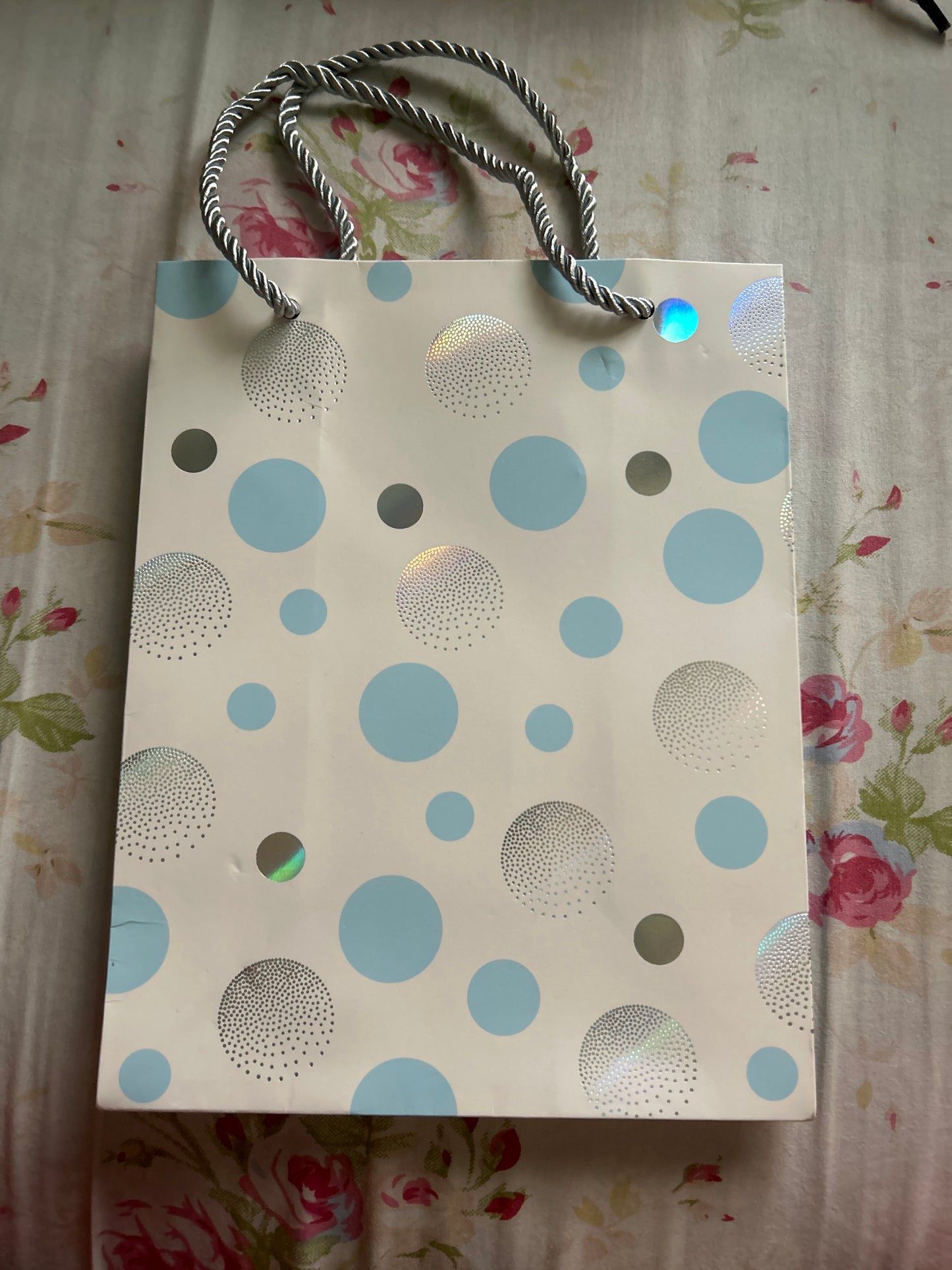 Paper Bag Blue & Silver Big Polka Dots