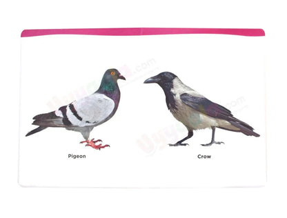 Navneet My Small Board Book Birds