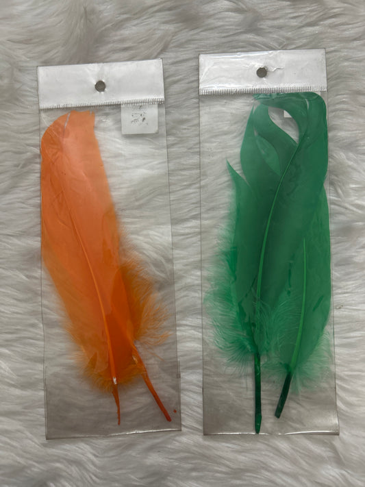 Feathers Set Of 2