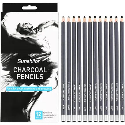 Worison Charcoal Pencil Set of 12