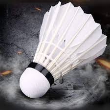 Badminton Shuttle Diamond