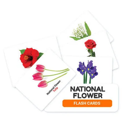 Flower Flash Cards - Gift Hub Mart