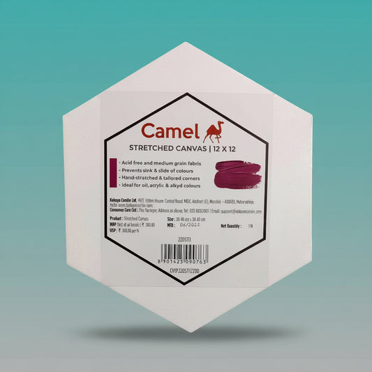 Camel Stretched Canvas Pentagon 12x12 by Gifthubmart