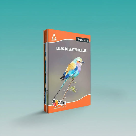 Classmate Maths Copy 172 Pgs 24 x 18 (.5 Cm Square) by Gifthubmart