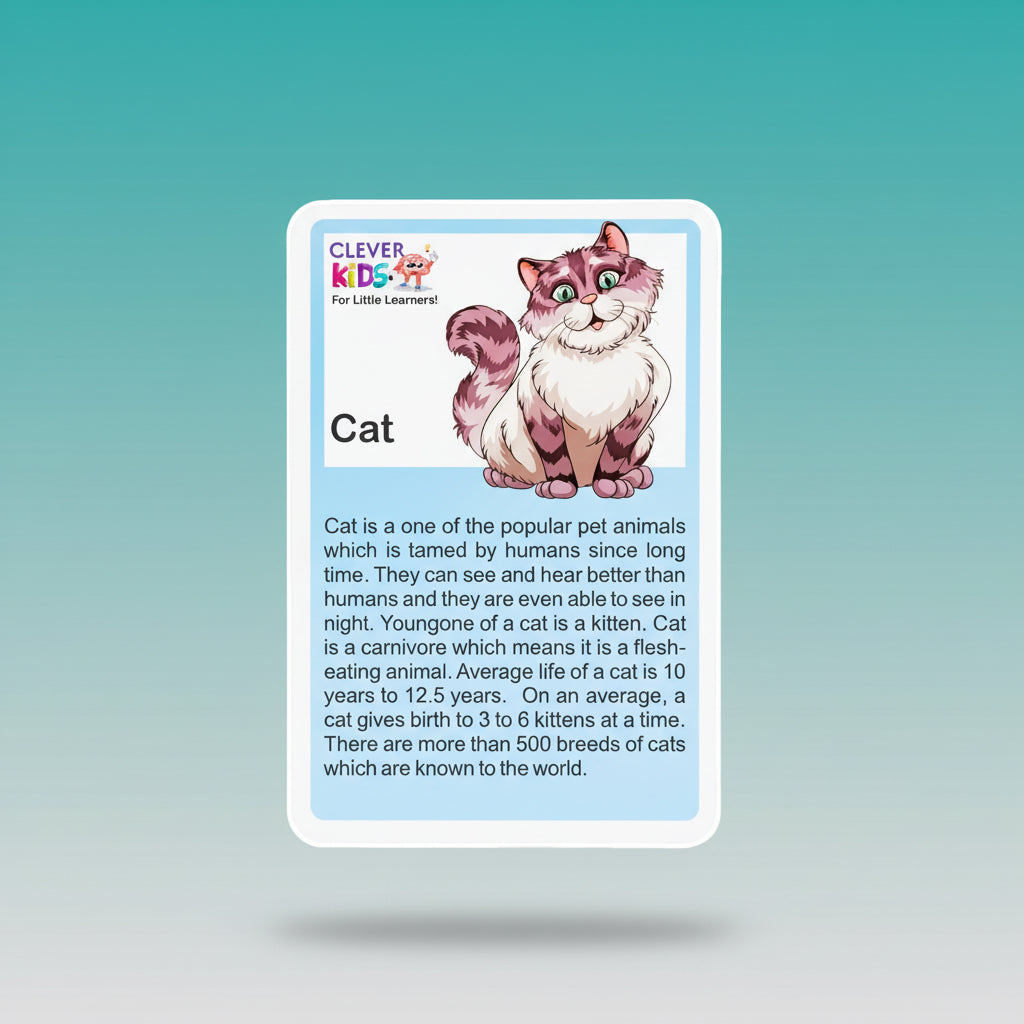 Clever Kids Flash Card Animal 2+ by Gifthubmart