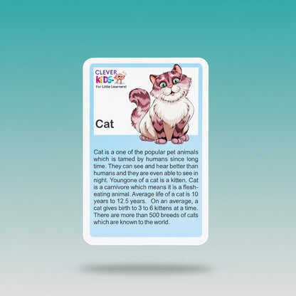 Clever Kids Flash Card Animal 2+ by Gifthubmart