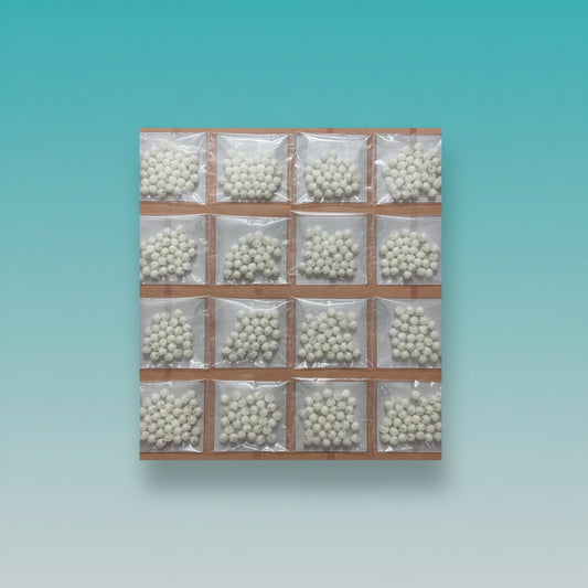Craft Shell Moti by Gift Hub Mart