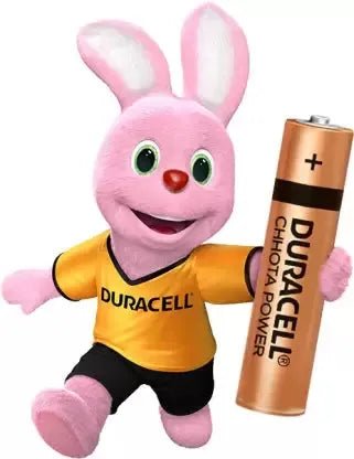 Duracell Chhota Power AAA Battery by Gifthubmart