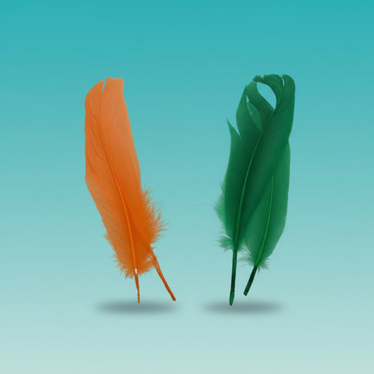 Feathers Set Of 2 by Gifthubmart