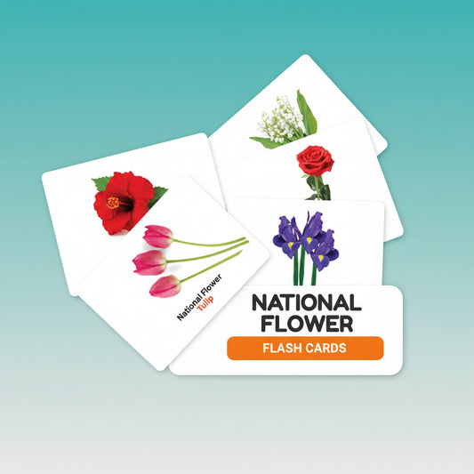Flower Flash Cards by Gift Hub Mart