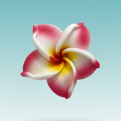 Pink and white flower with yellow center 