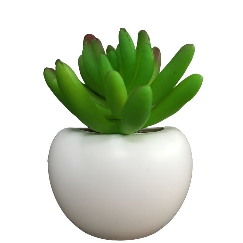 Fridge Magnet Plants by Gifthubmart