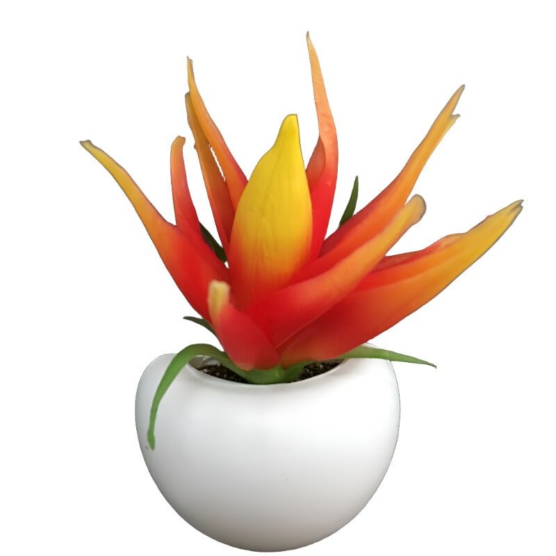 Fridge Magnet Plants by Gifthubmart