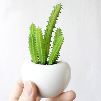 Fridge Magnet Plants by Gifthubmart