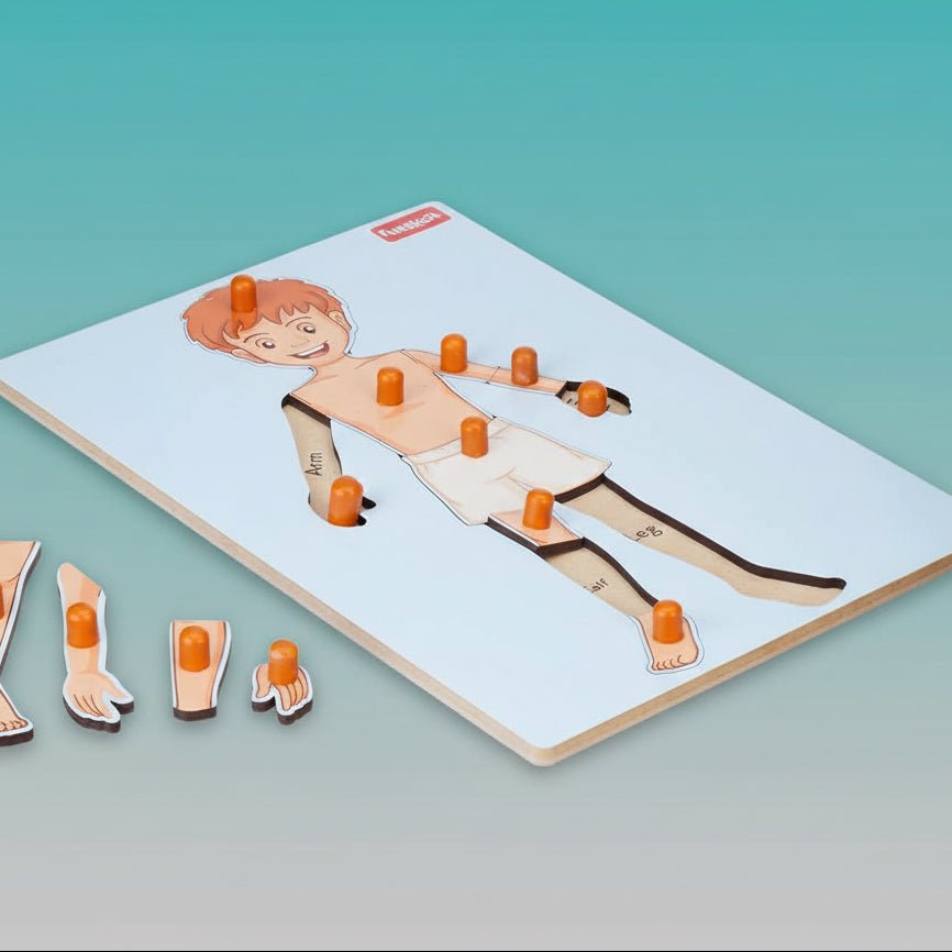 Funskool Body Parts puzzle by Gifthubmart