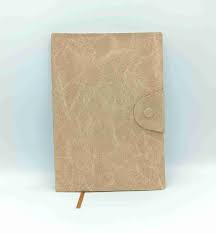 Fancy Diary UD5