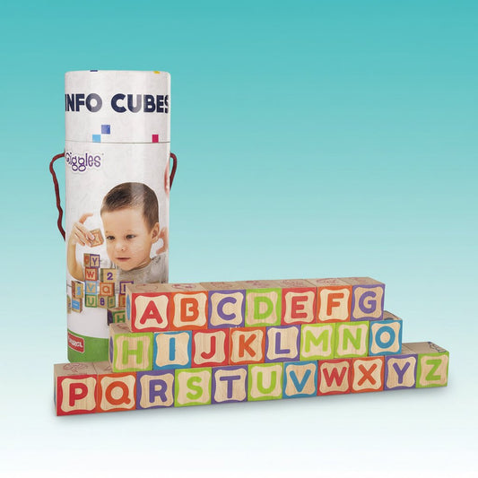 Info Cubes 26 Pieces Wooden Block Funskool Giggles by Gifthubmart