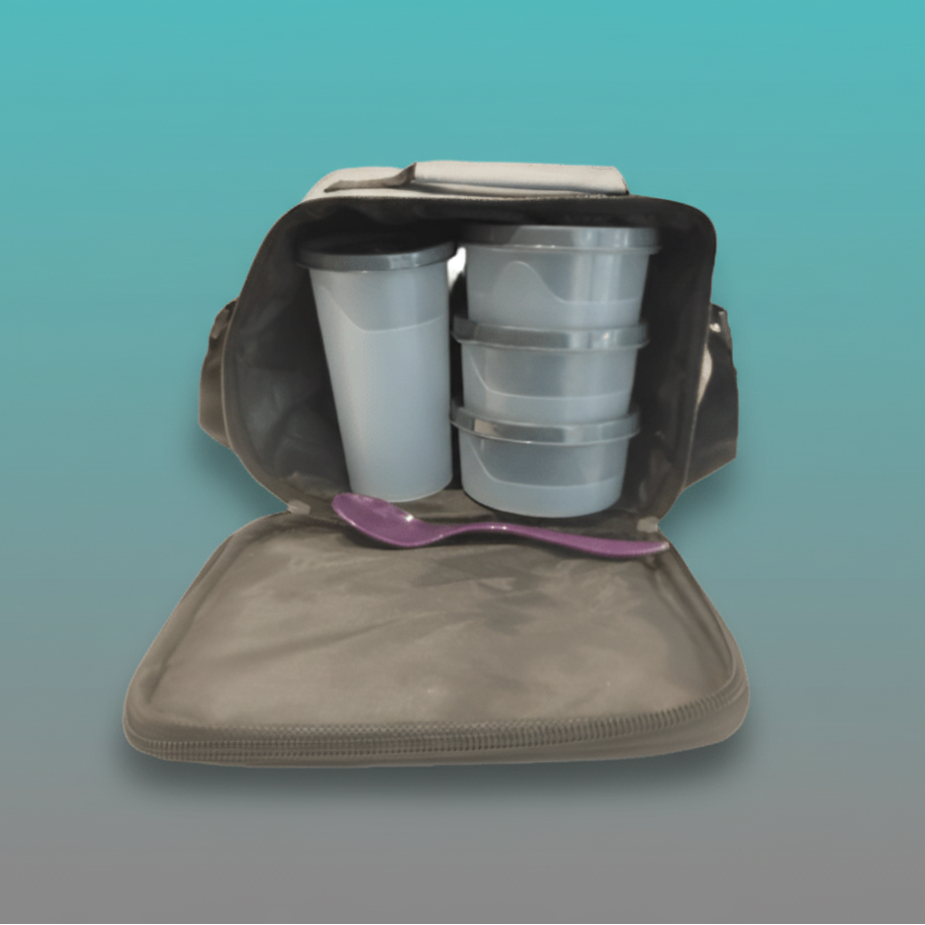 Jony 4 Pcs Tiffin Set With Bag- Your Kitchen Friend by Gifthubmart