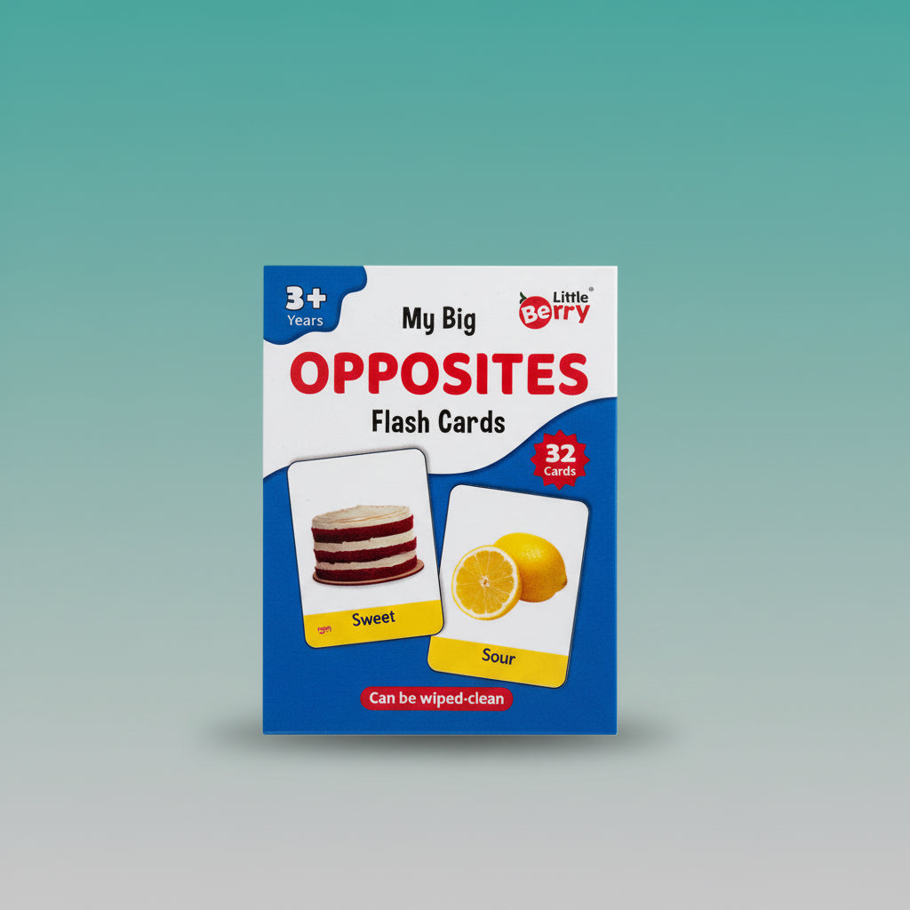 My Big Opposites Flash Cards- Little Berry by Gift Hub Mart