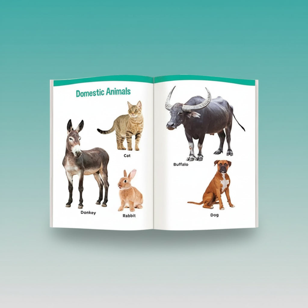 Navneet My Small Board Book Domestic & Aqua Animals by Gifthubmart