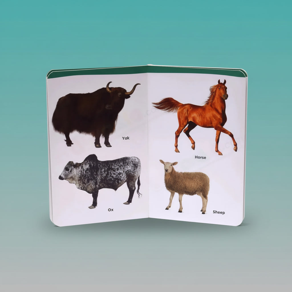 Navneet My Small Board Book Domestic & Aqua Animals by Gifthubmart