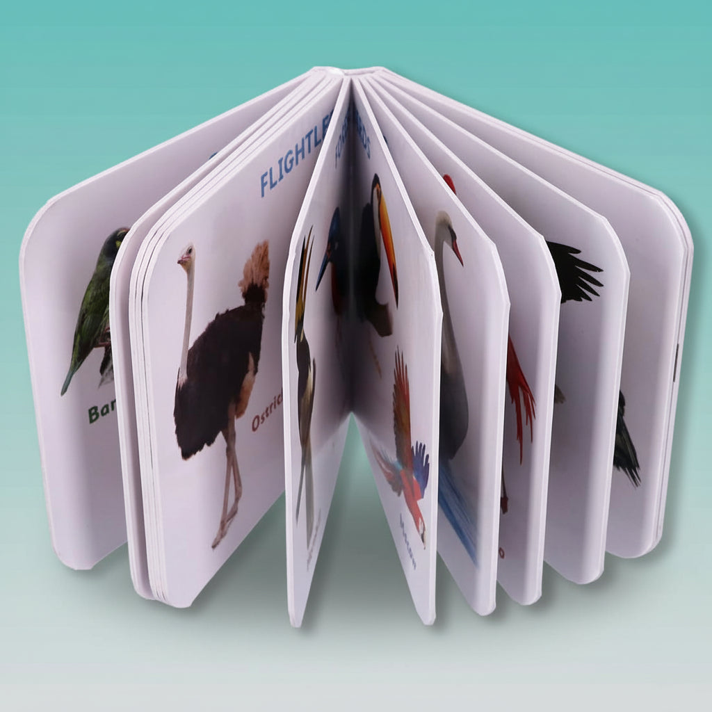 Navneet Tiny Board Book Birds by Gifthubmart