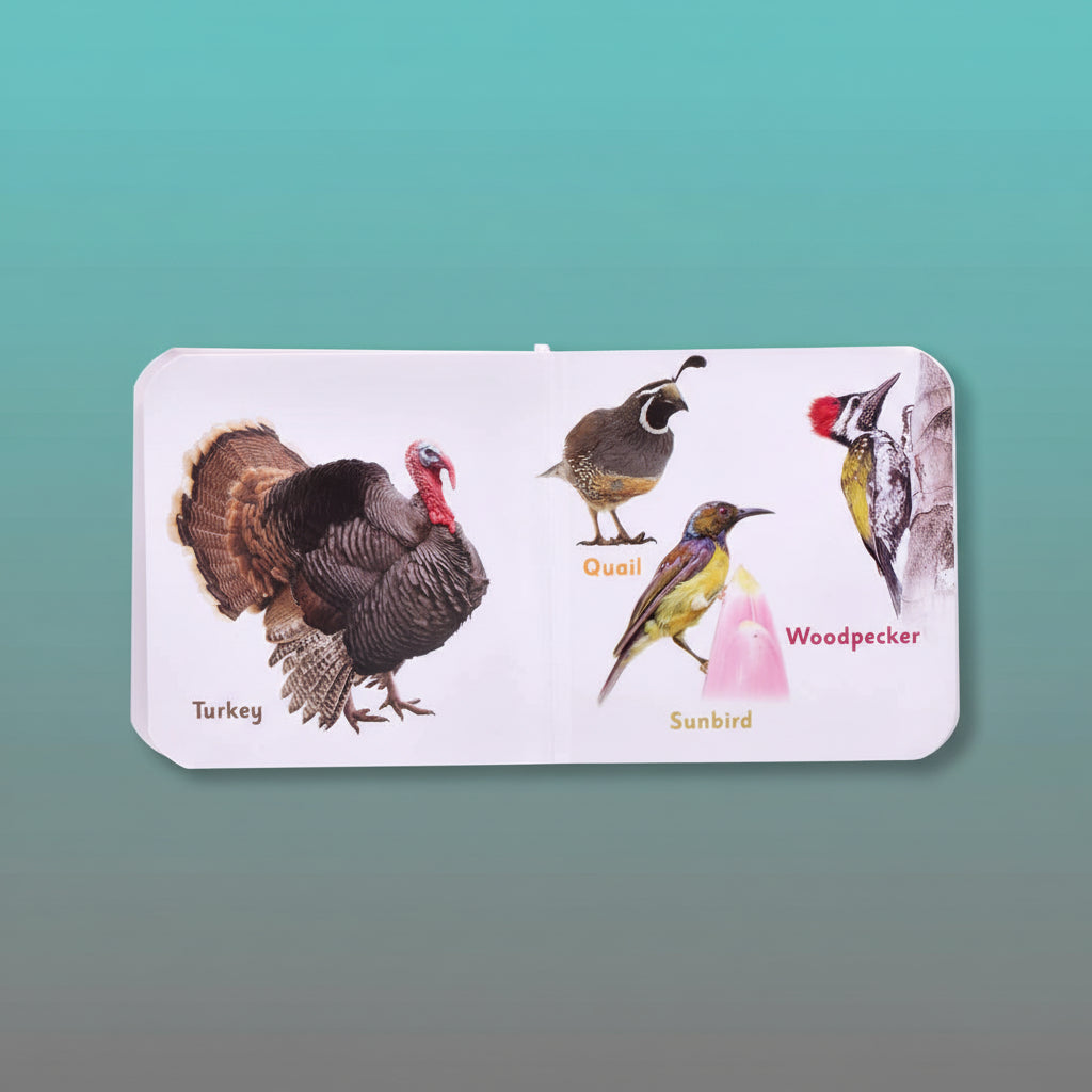Navneet Tiny Board Book Birds by Gifthubmart