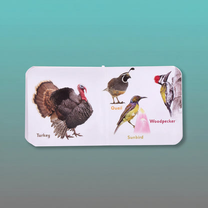 Navneet Tiny Board Book Birds by Gifthubmart
