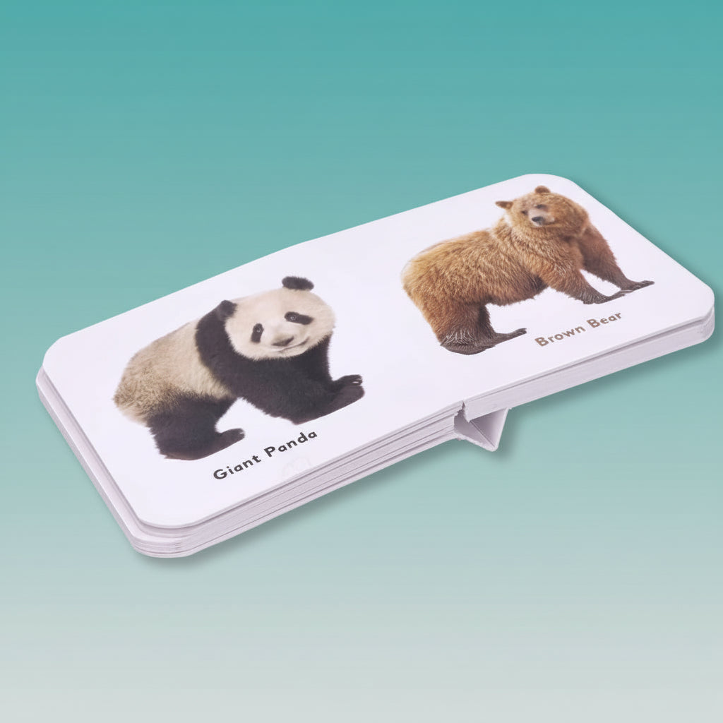 Navneet Tiny Board Book Wild Animals by Gifthubmart