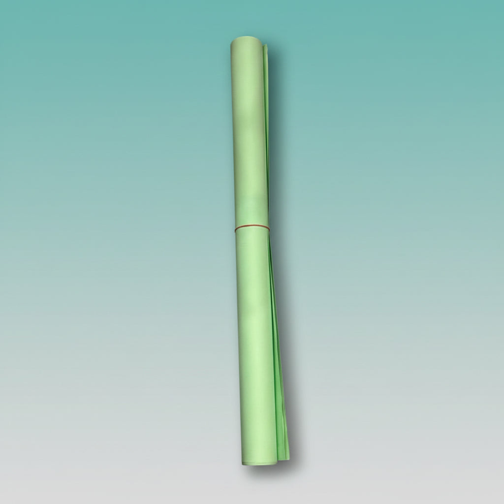 Pastel Green Chart Paper Thin by Gifthubmart