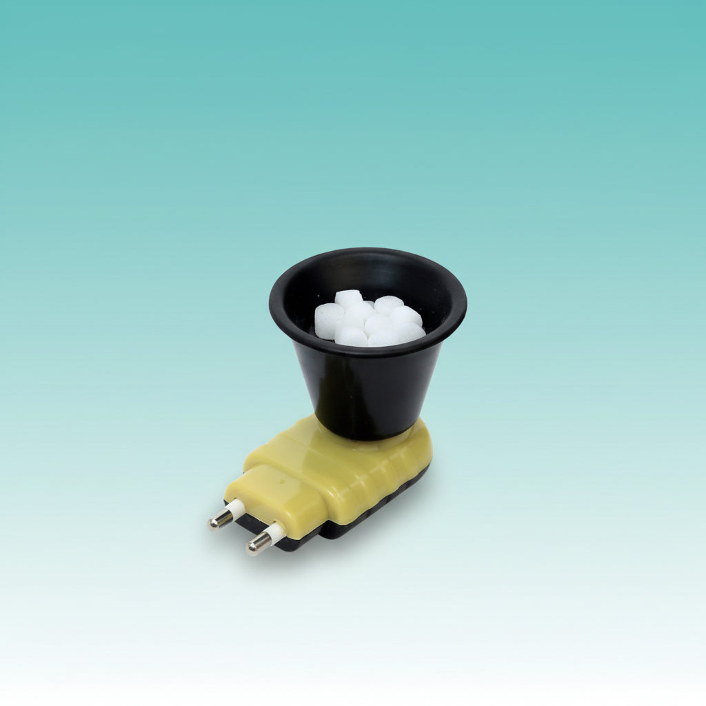 Rudra Electric Kapoor Dani by Gift Hub Mart
