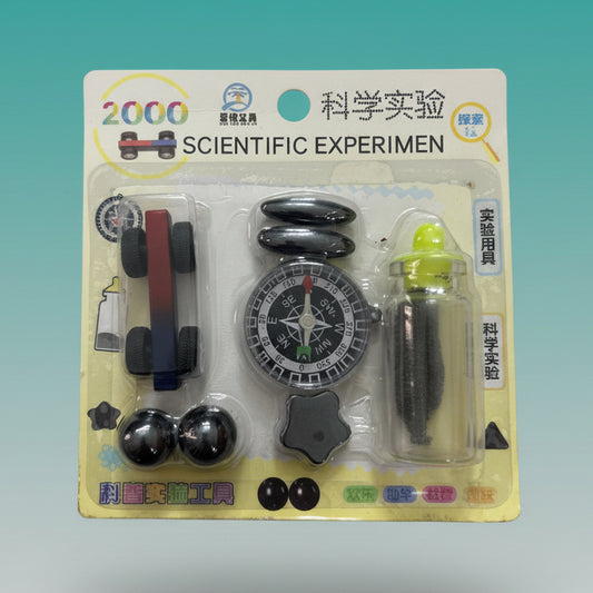 Scientific Experiment With Compass by Gift Hub Mart