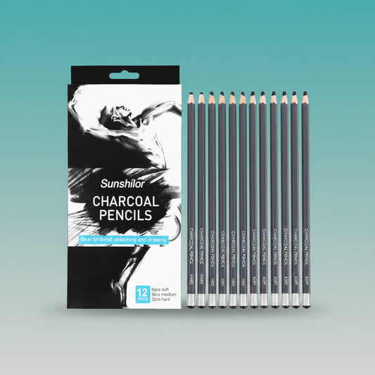 Worison Charcoal Pencil Set of 12 by Gifthubmart
